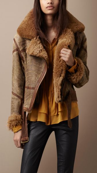 Burberry Brit Shearling Aviator Jacket in Brown (amber) | Lyst