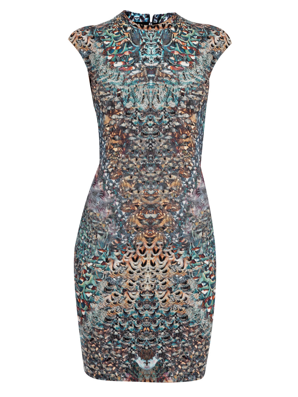 Mcq By Alexander Mcqueen Feather Print Dress in Multicolor ...