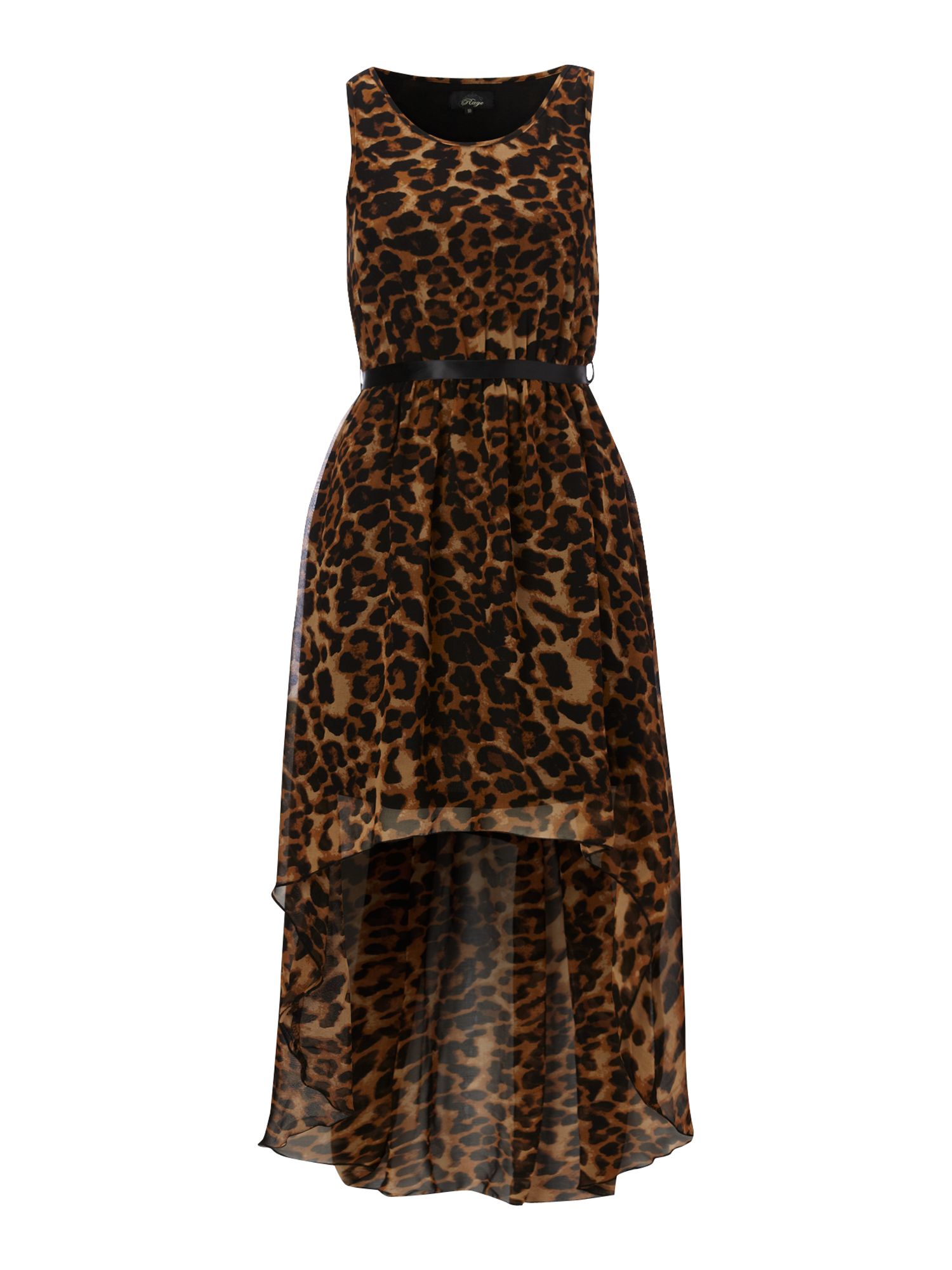 Decoding Rage: The Animal That Perfectly Represents Anger - qech5ia