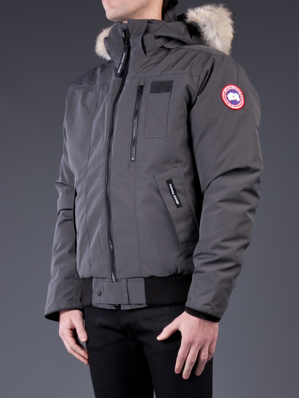 canada goose borden bomber graphite canada goose borden bomber graphite