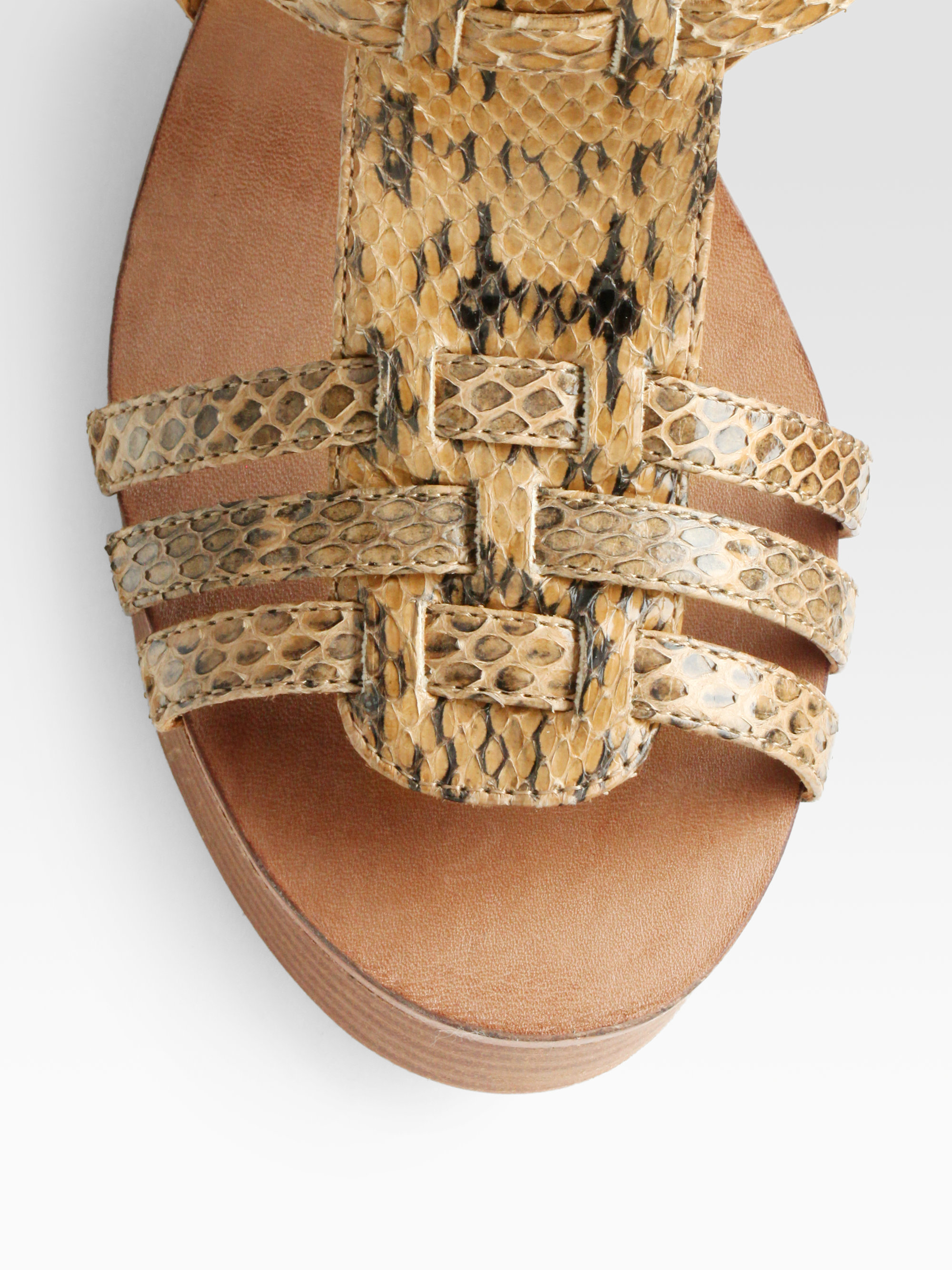 new trendy slides