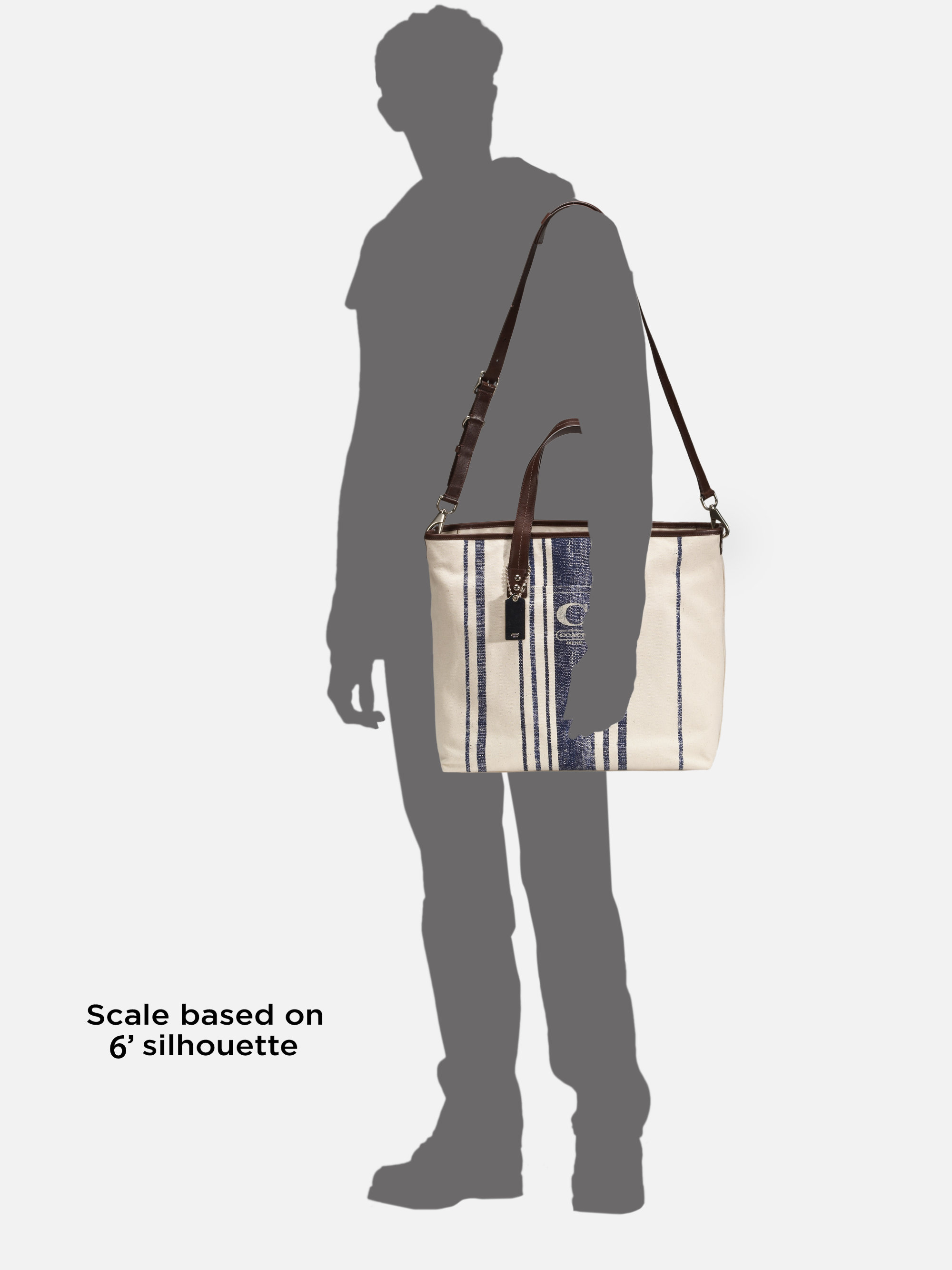 coach classic tote-ally