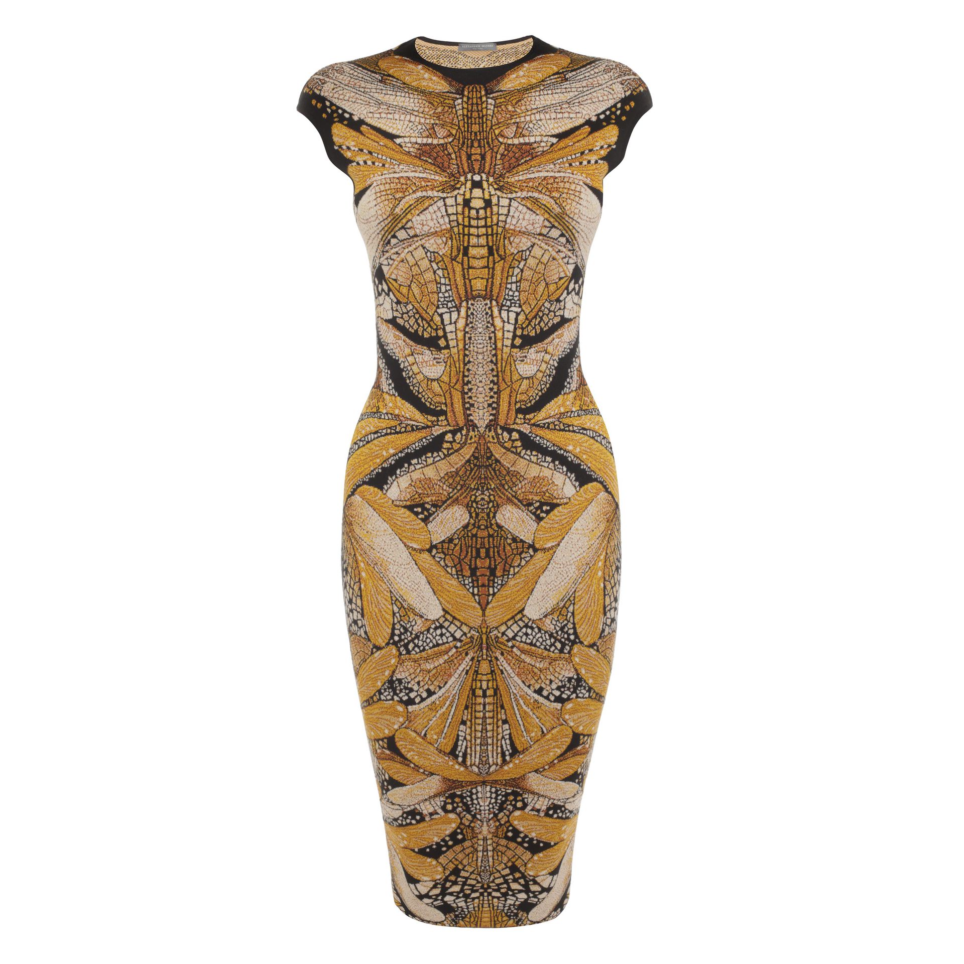 Alexander McQueen Dresses