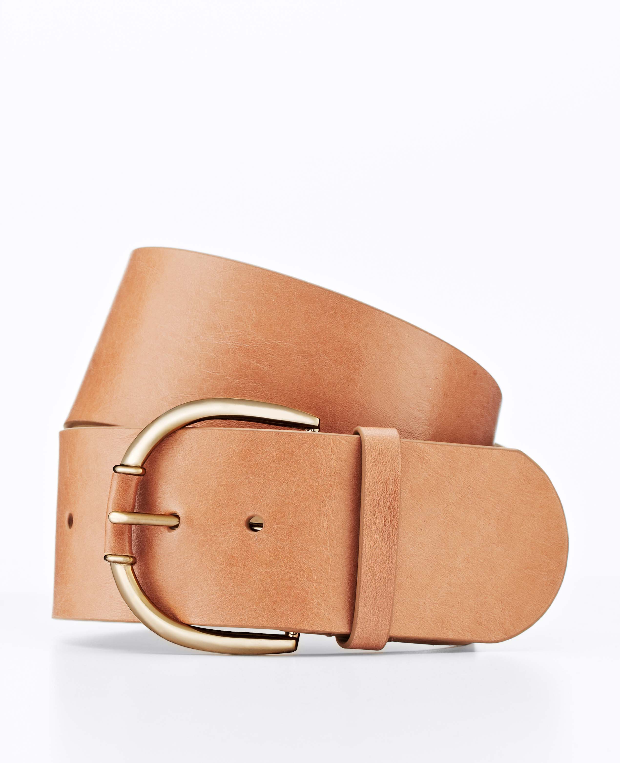 Ann Taylor Wide Neutral Leather Belt In Brown Lyst Gallery