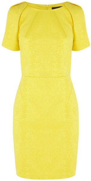 Coast Oxford Dress in Yellow | Lyst
