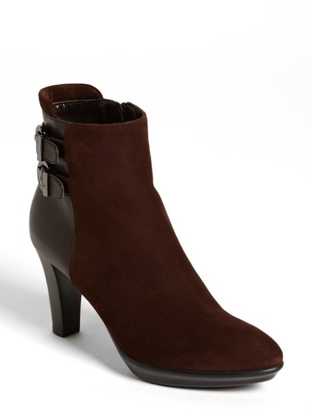 Aquatalia By Marvin K Roma Bootie in Brown (Chocolate Suede/ Calf) | Lyst