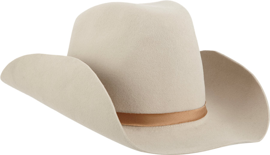 Albertus Swanepoel Rustler Cowboy Hat in Beige (rust) | Lyst