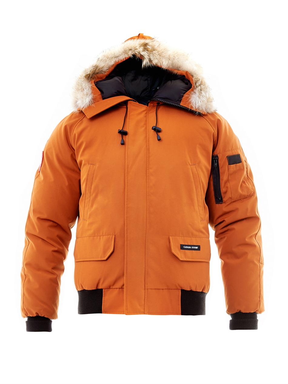 Lyst - Canada goose Chilliwack Bomber Jacket in Orange for Men