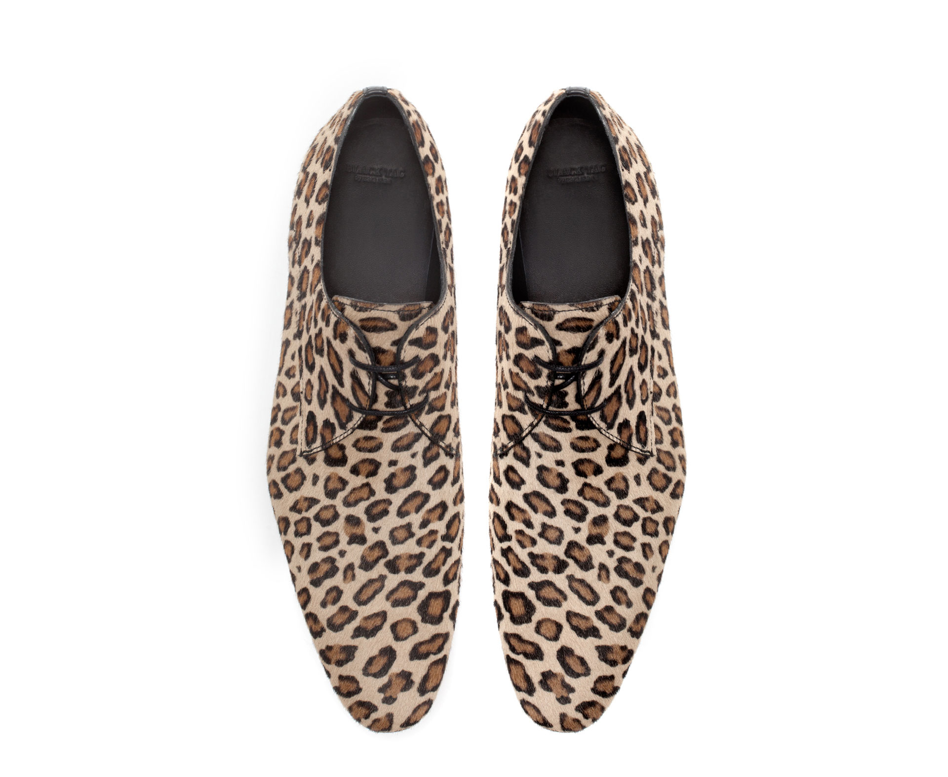Zara Leopard Skin Leather Shoe in Brown for Men Lyst