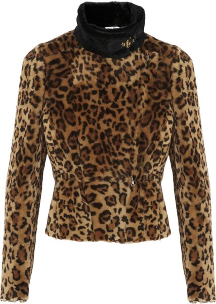 Miu Miu Leopard Print Shearling Jacket in Brown (Leopard print) | Lyst