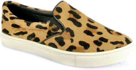Steve Madden Ecentric - Slip On Sneaker in Animal (leopard) | Lyst