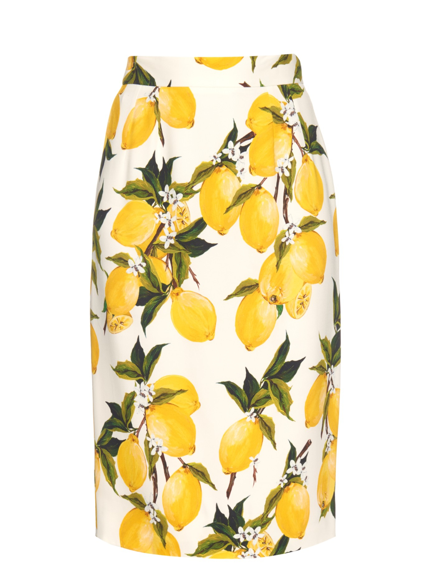 Lyst - Dolce & Gabbana Floral Print Skirt
