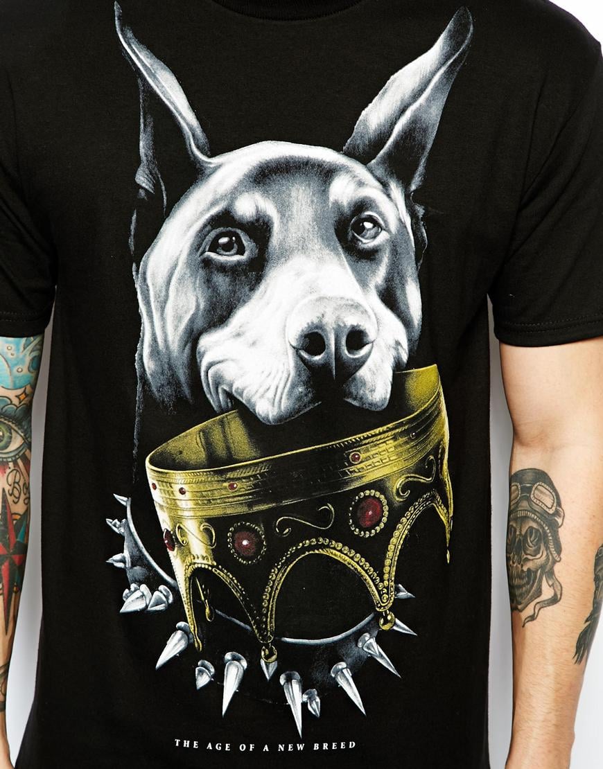 doberman in a shirt