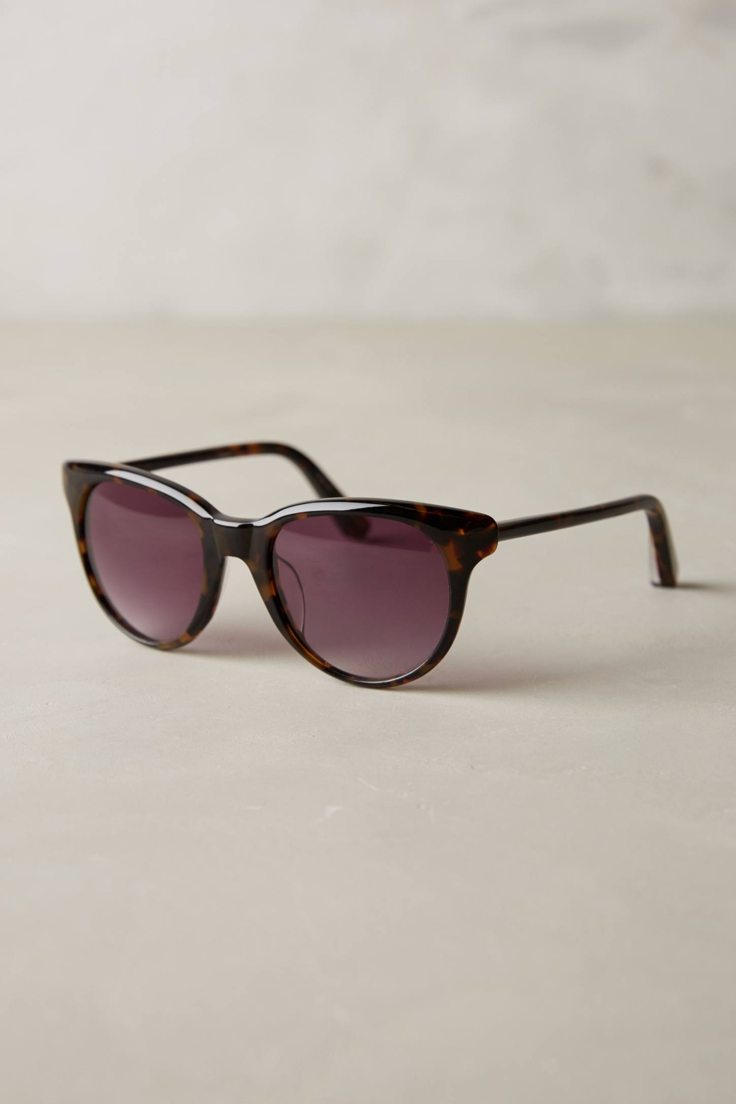 Elizabeth and james Richmond Sunglasses in Brown Lyst