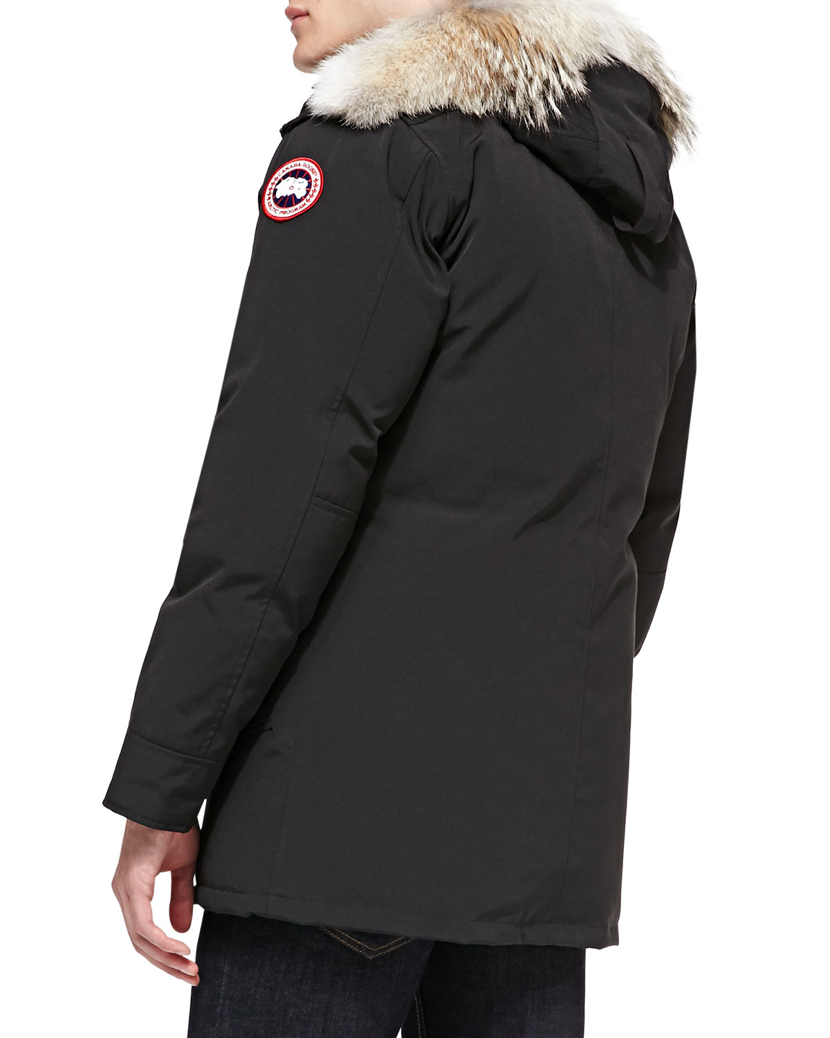 canada goose gul og gratis canada goose gul og gratis