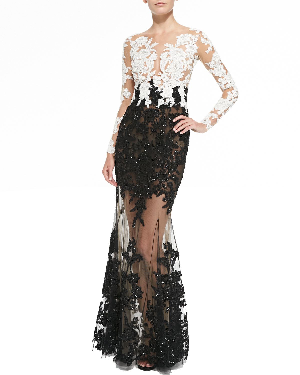 Zuhair murad Lace-embroidered Sheer Gown in Black | Lyst