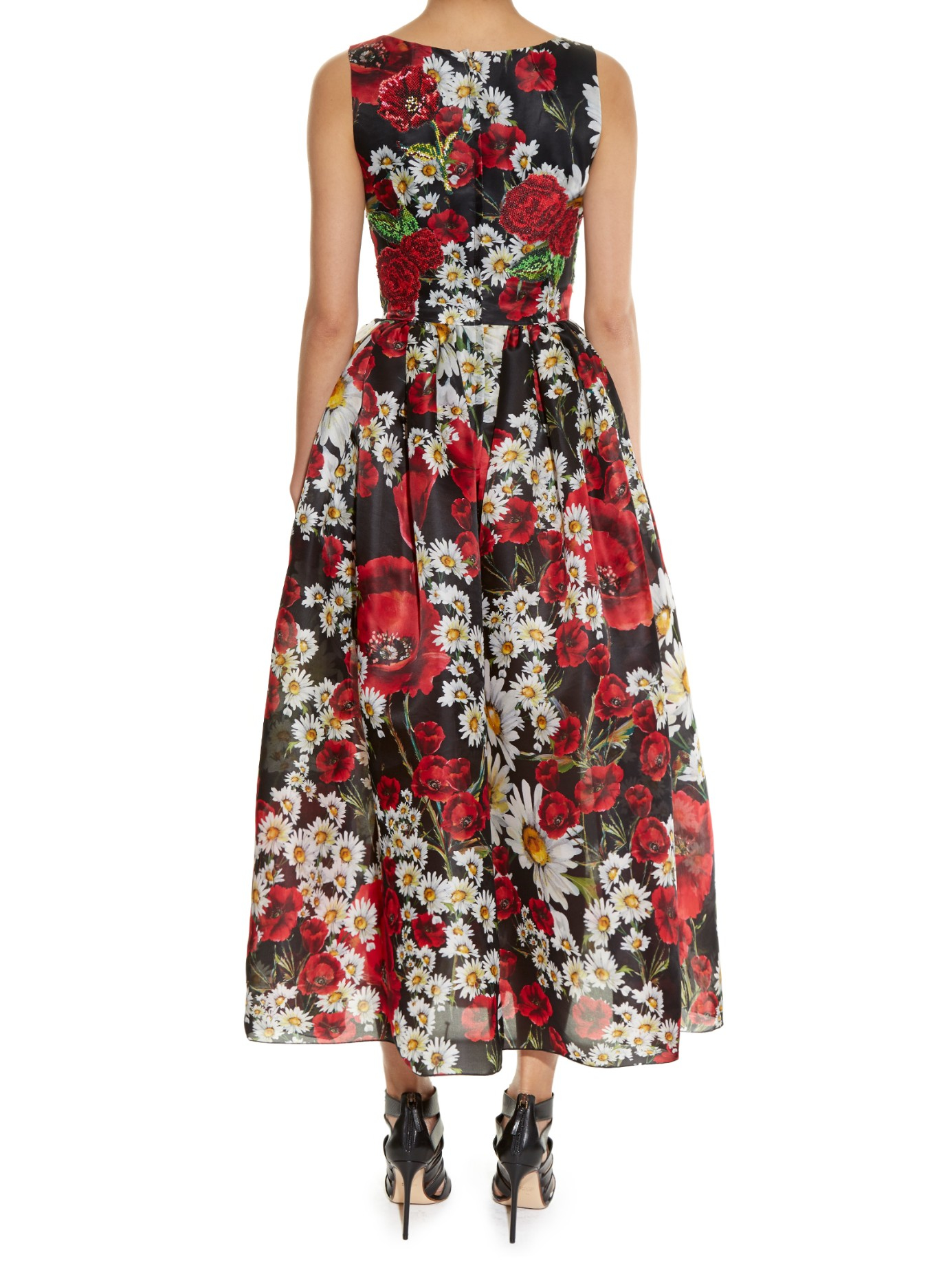 Dolce & Gabbana Embroidered Poppy And Daisy-print Organza Dress in ...