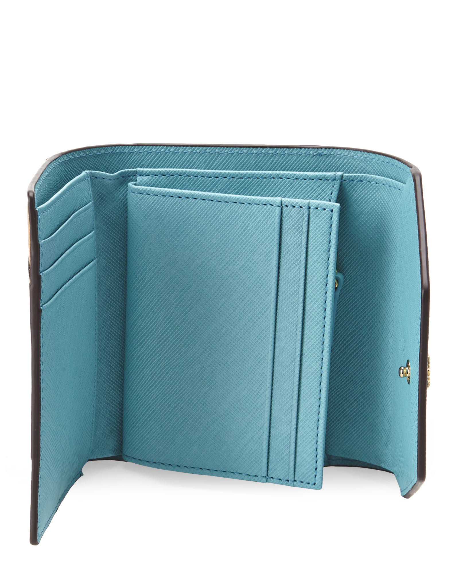 blue trifold