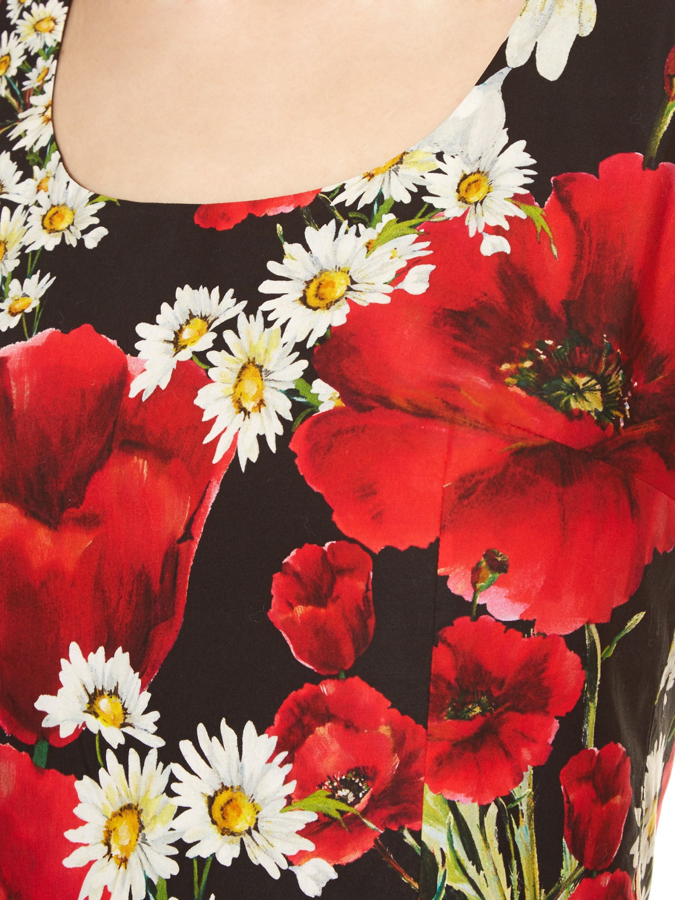 Lyst Dolce & Gabbana Poppy And Daisyprint Cotton Dress in Red