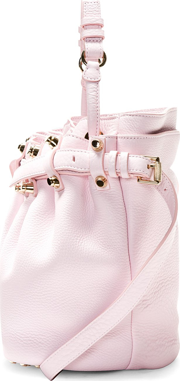 alexander wang pink fur bag