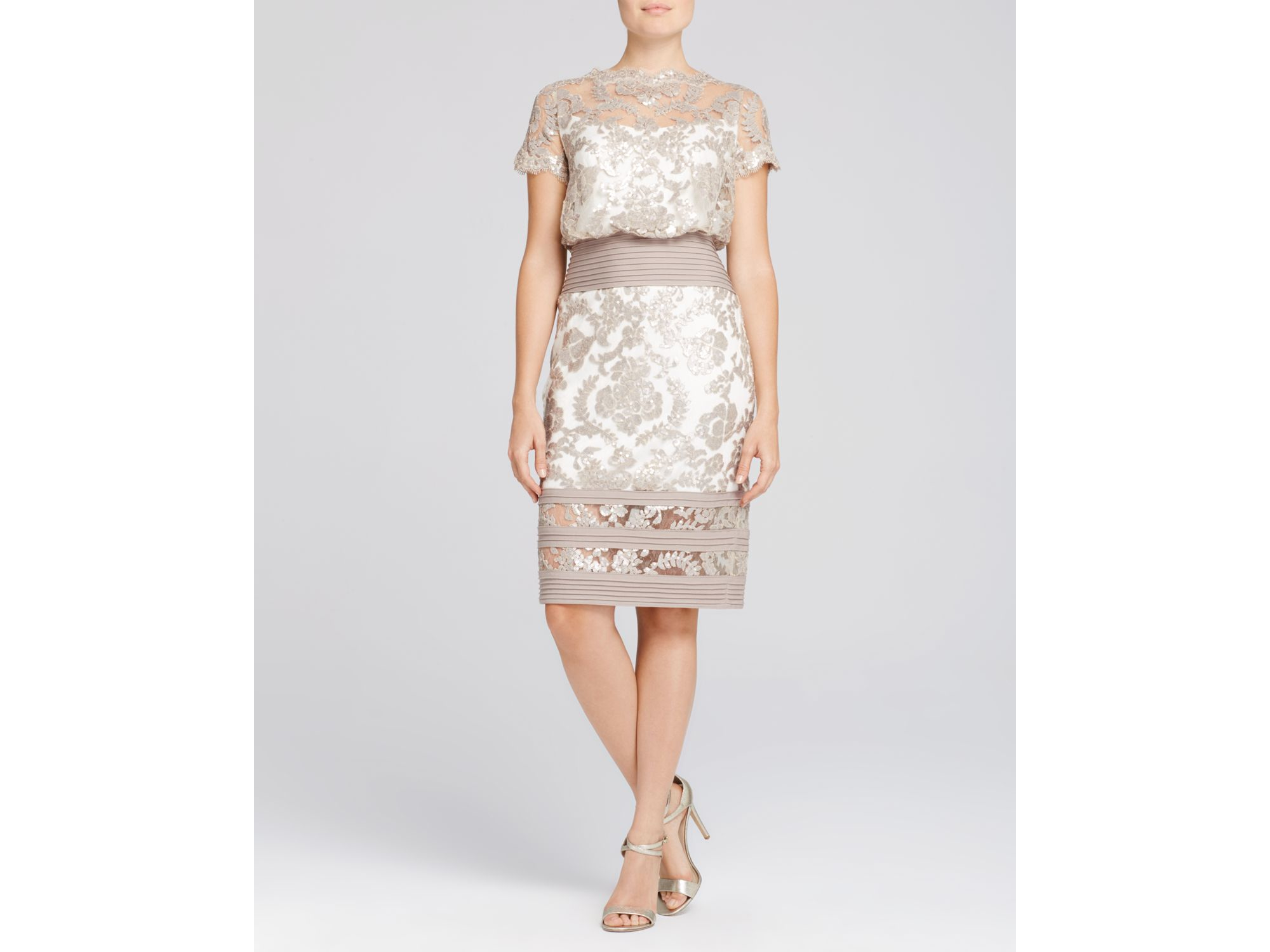 Tadashi Illusion Lace Blouson Dress