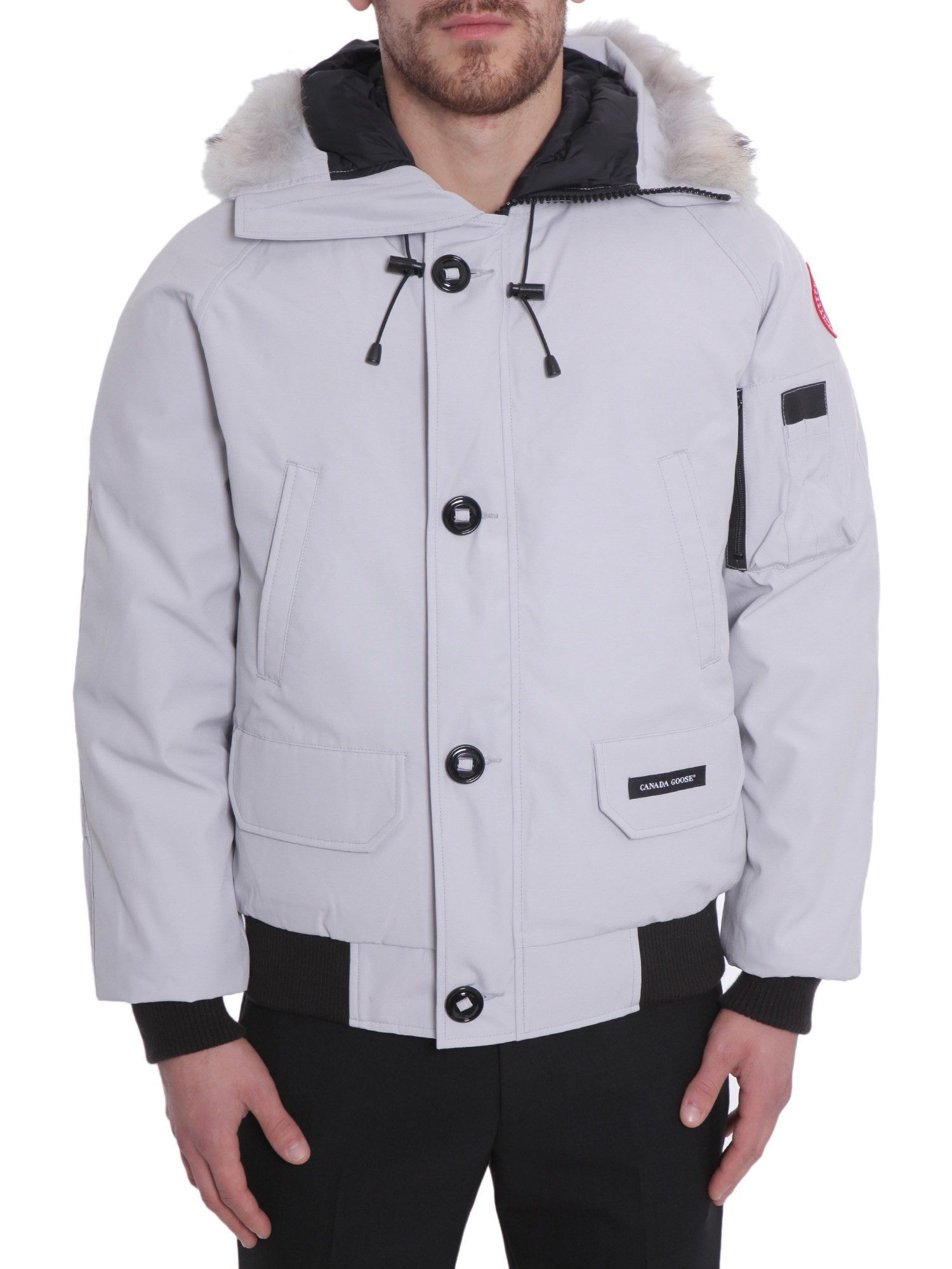 canada goose grigio canada goose grigio
