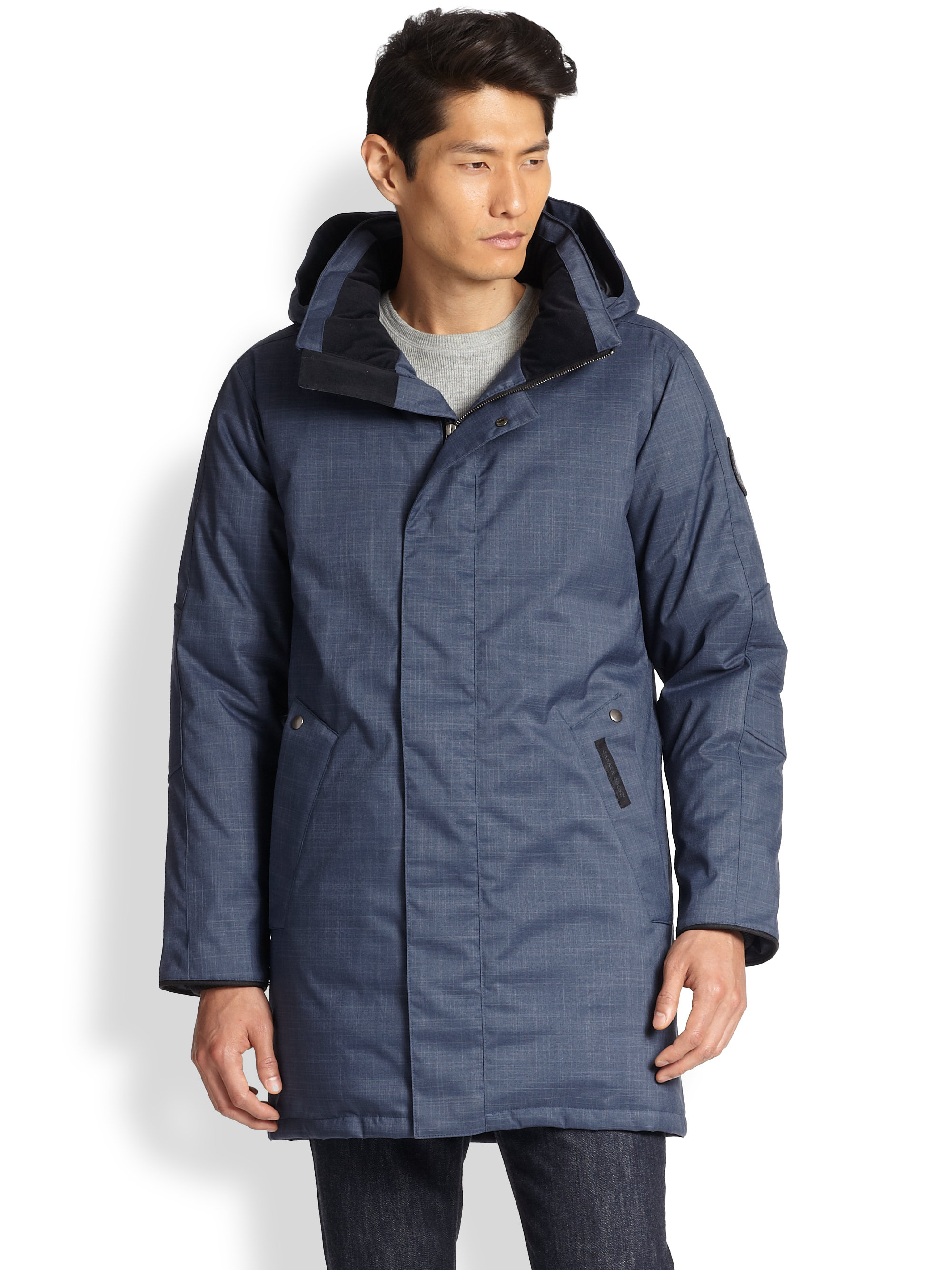 canada goose branta canada goose branta