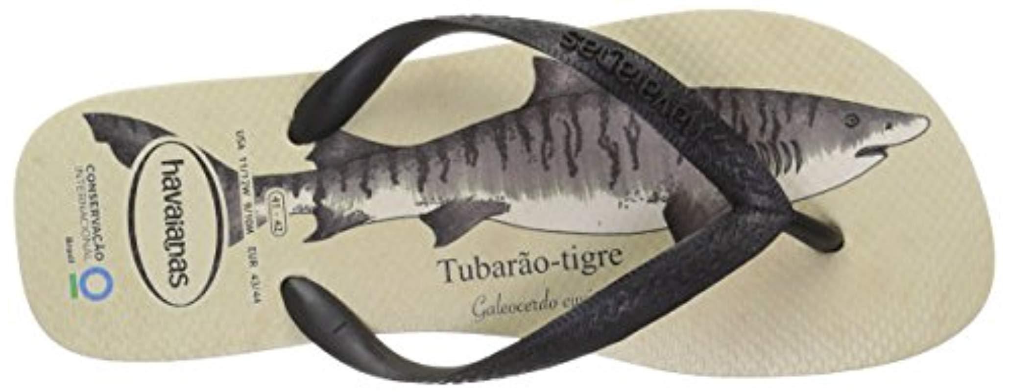 havaianas conservation
