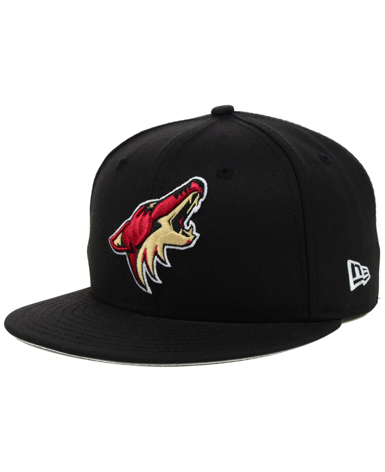 arizona coyotes hat