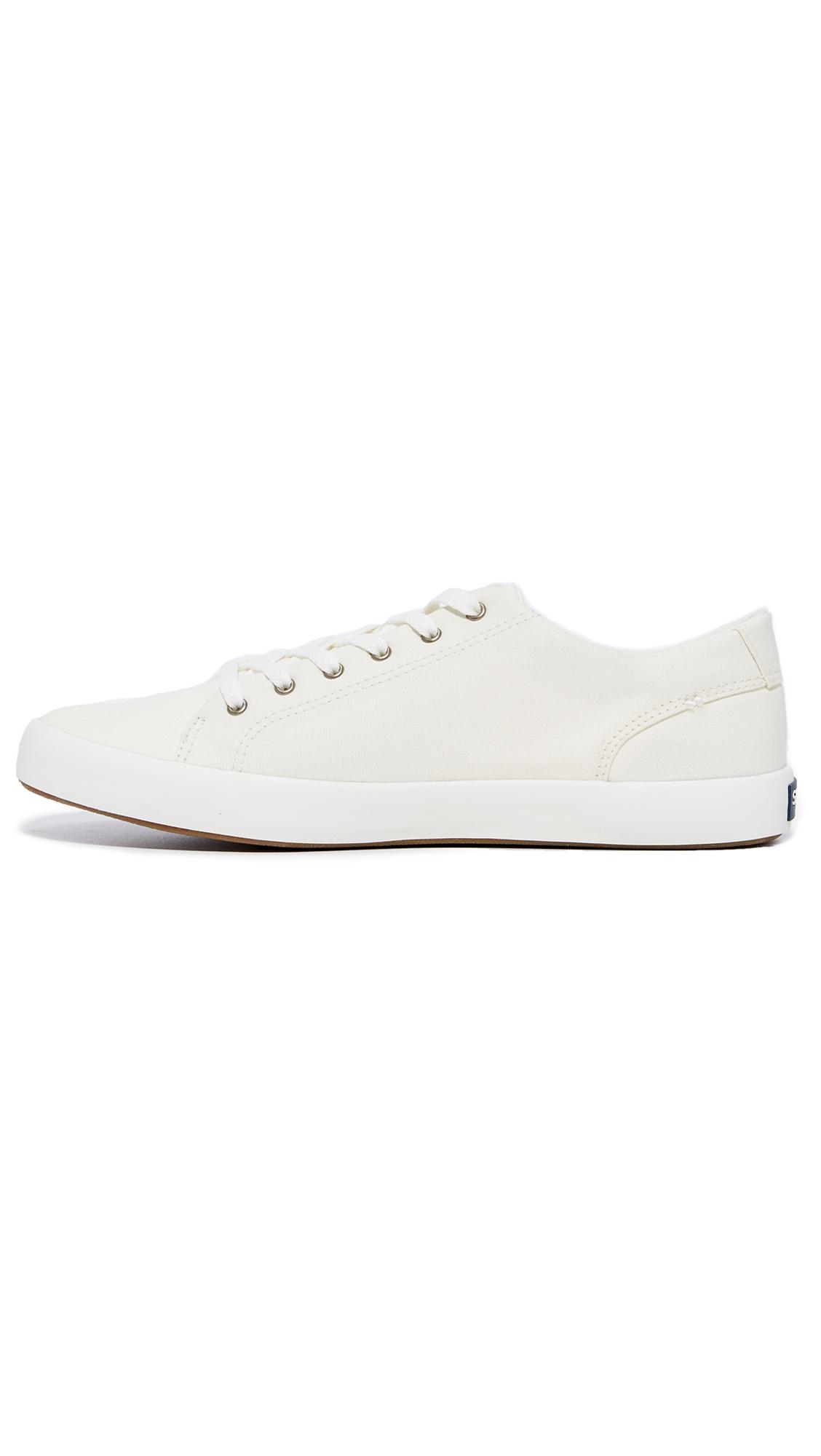 sperry white canvas sneakers