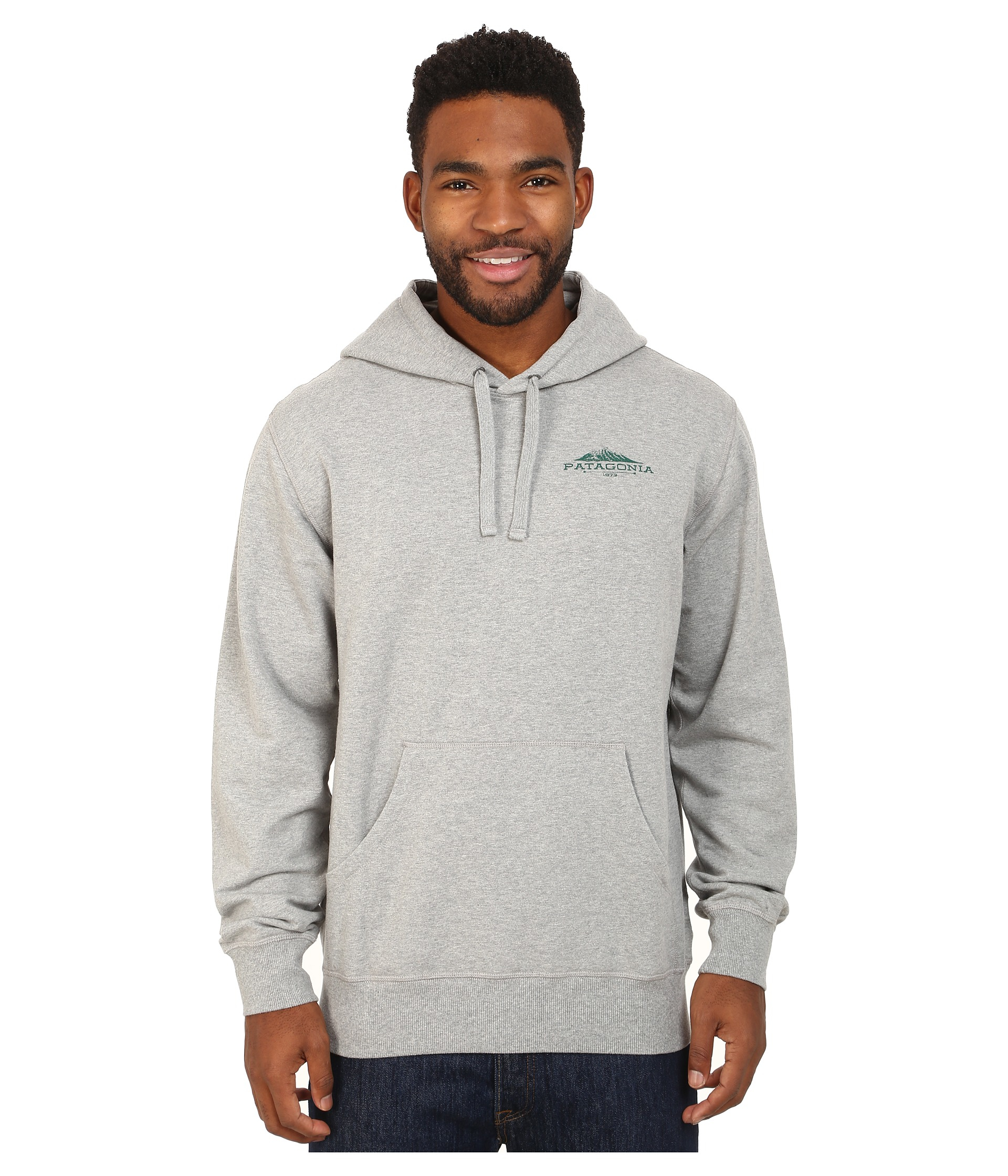 Patagonia Know More Need Less Midweight P/o Hooded Sweatshirt in Gray ...