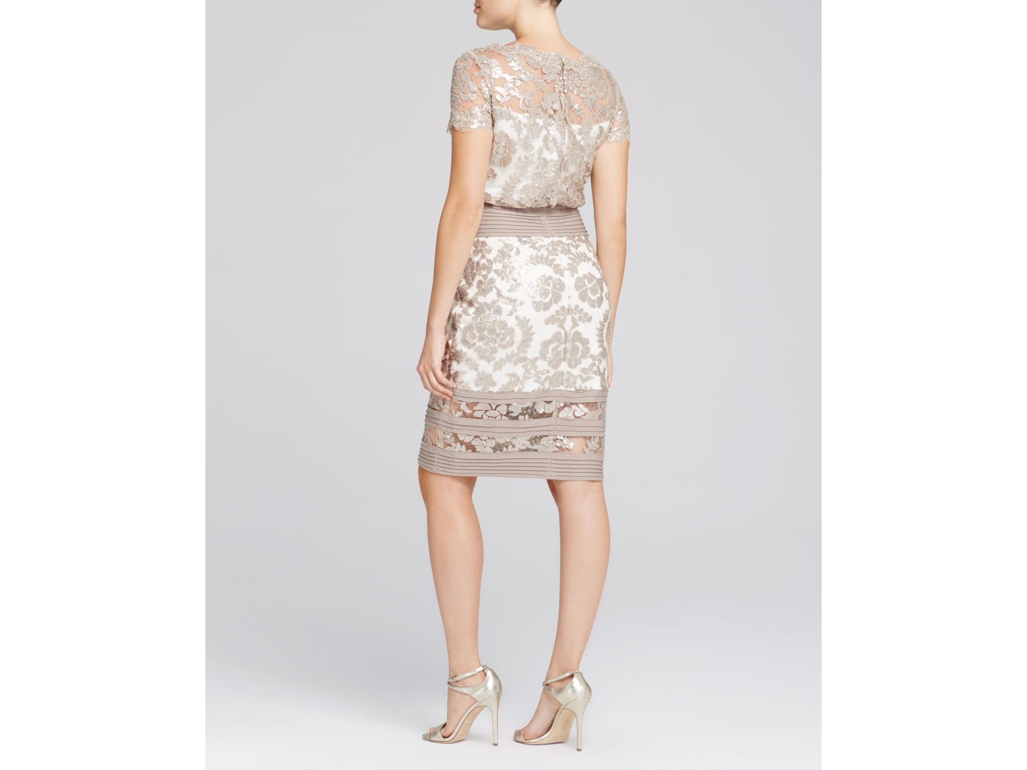 Tadashi Illusion Lace Blouson Dress