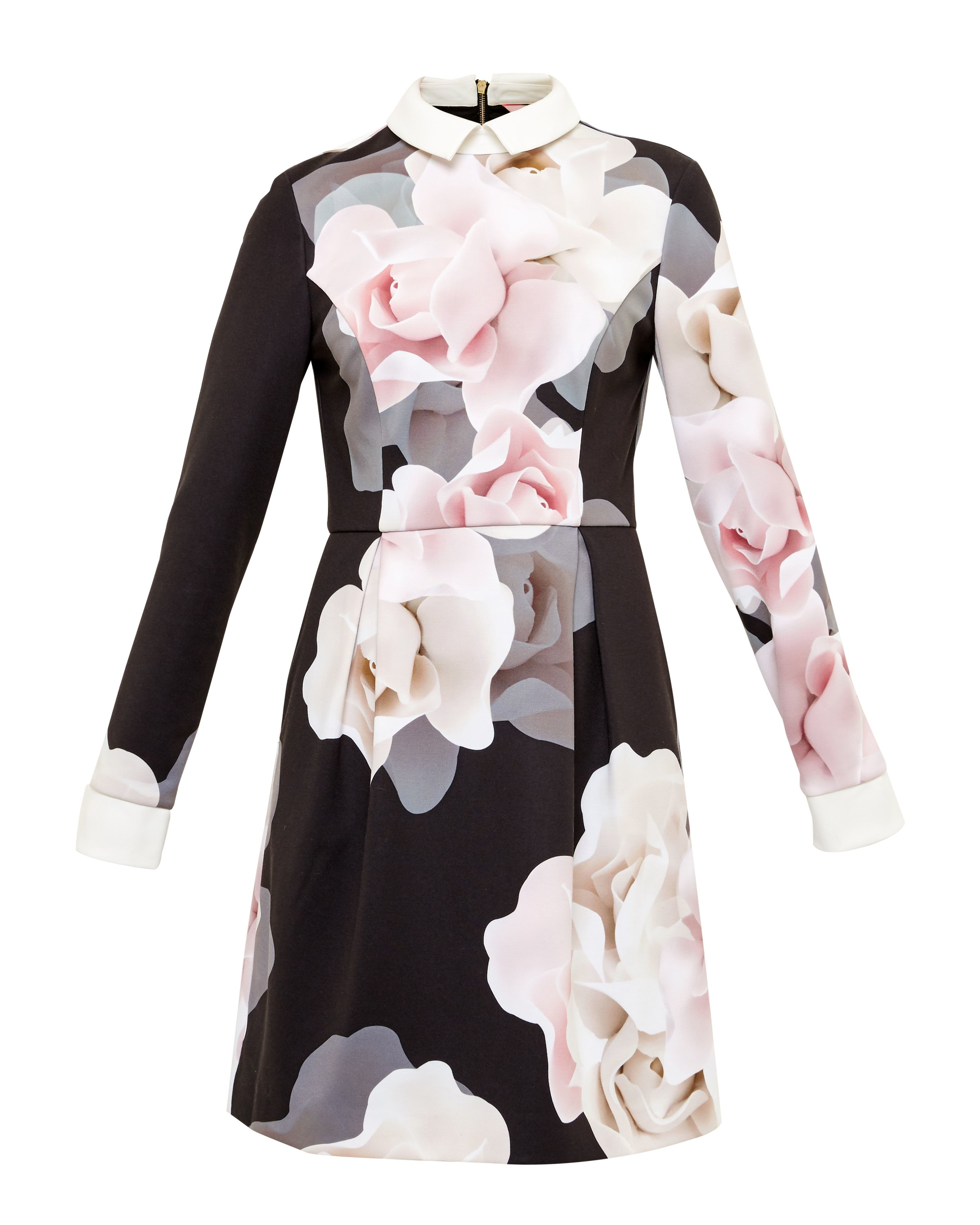 ted baker lascii porcelain collar dress black in ted baker lascii porcelain collar dress black in
