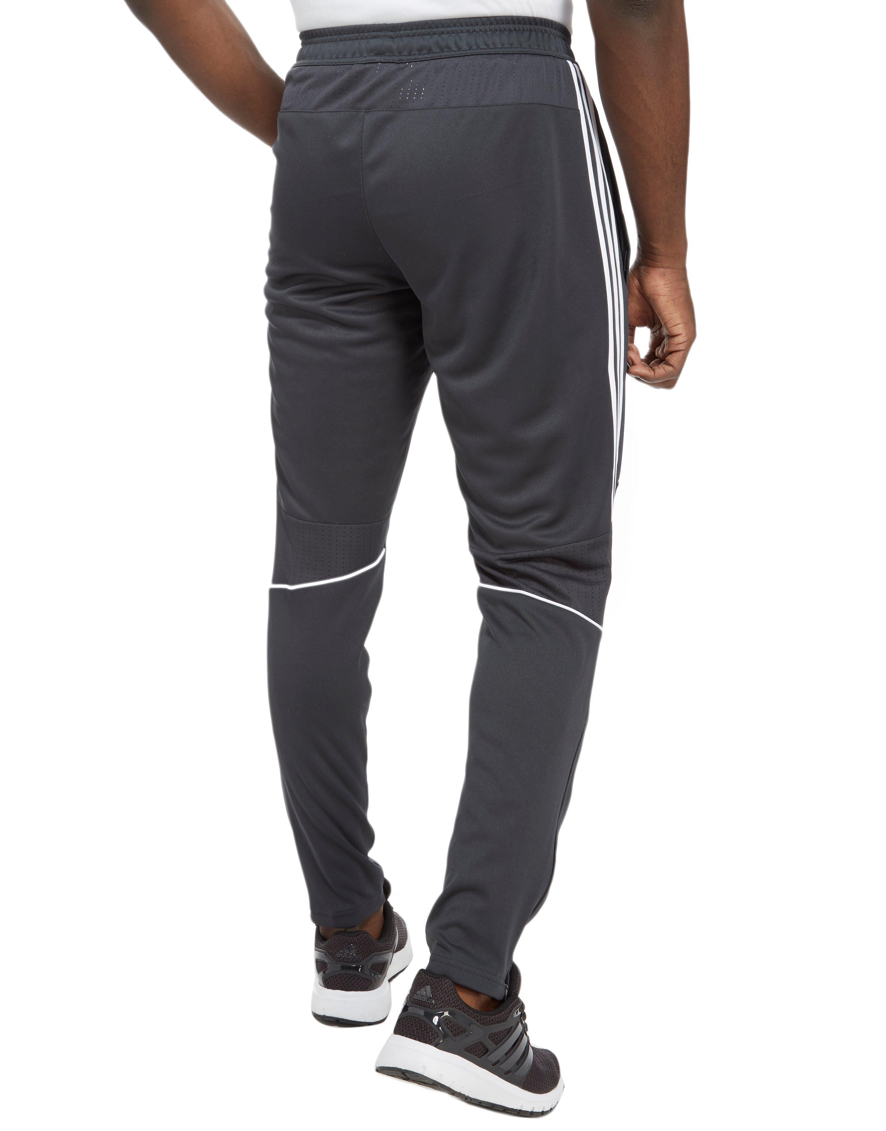 adidas men's tango pants