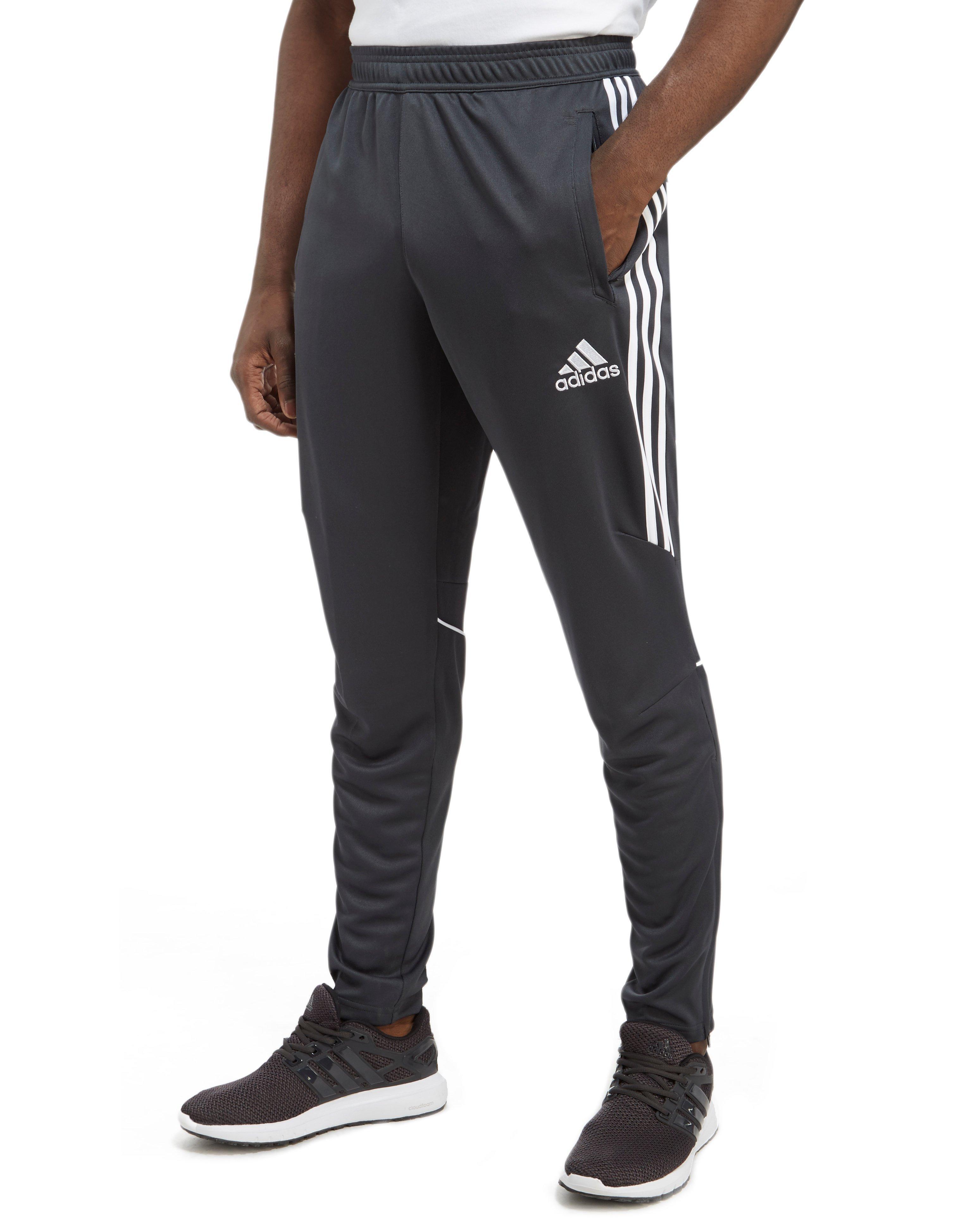 Lyst - Adidas Tango Pants in Gray for Men