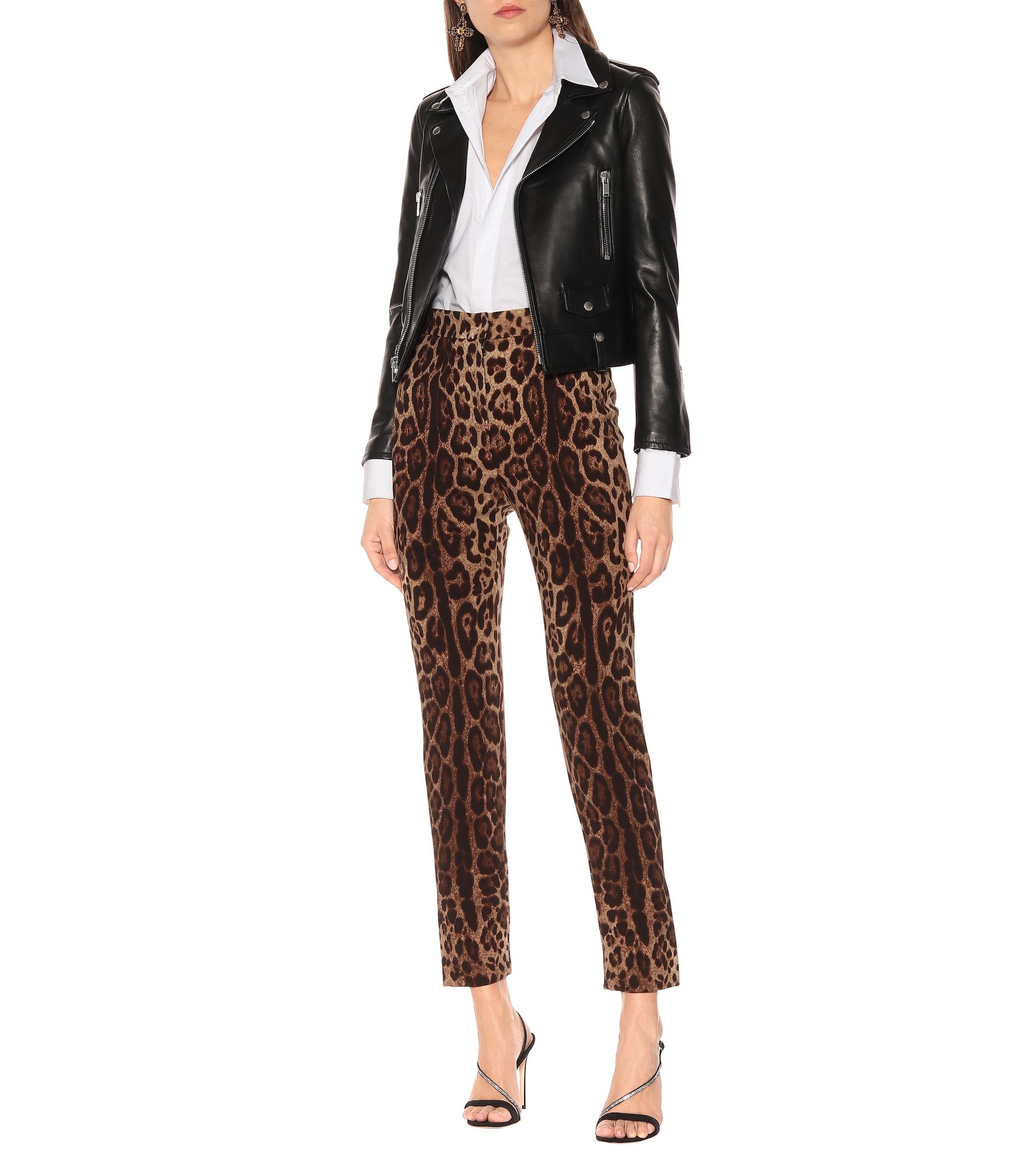 Dolce & Gabbana Leopard-print High-rise Wool Pants in Brown - Lyst
