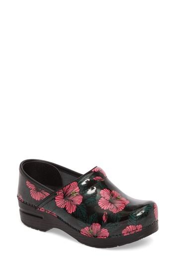 dansko hibiscus