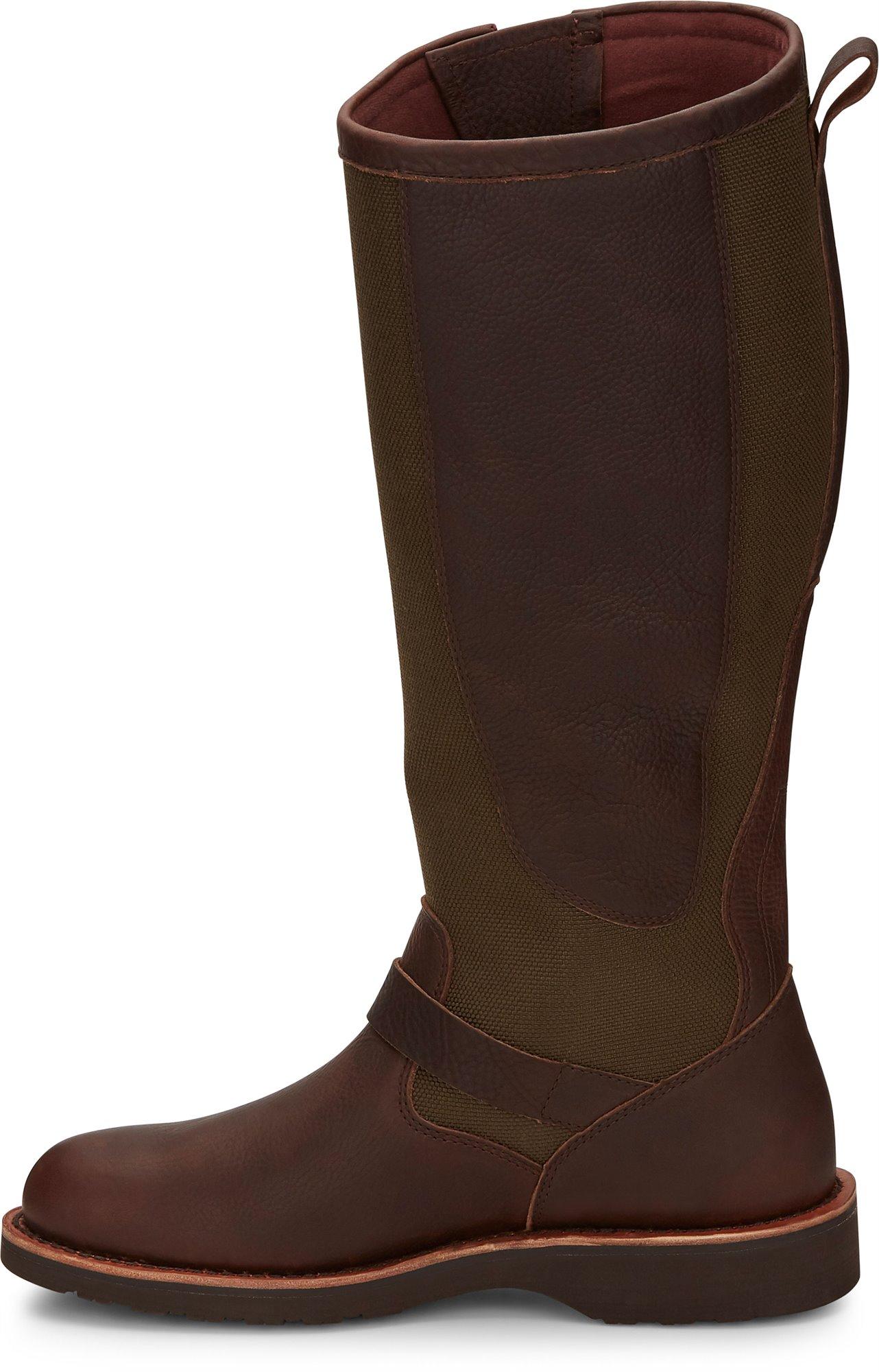 chippewa brome