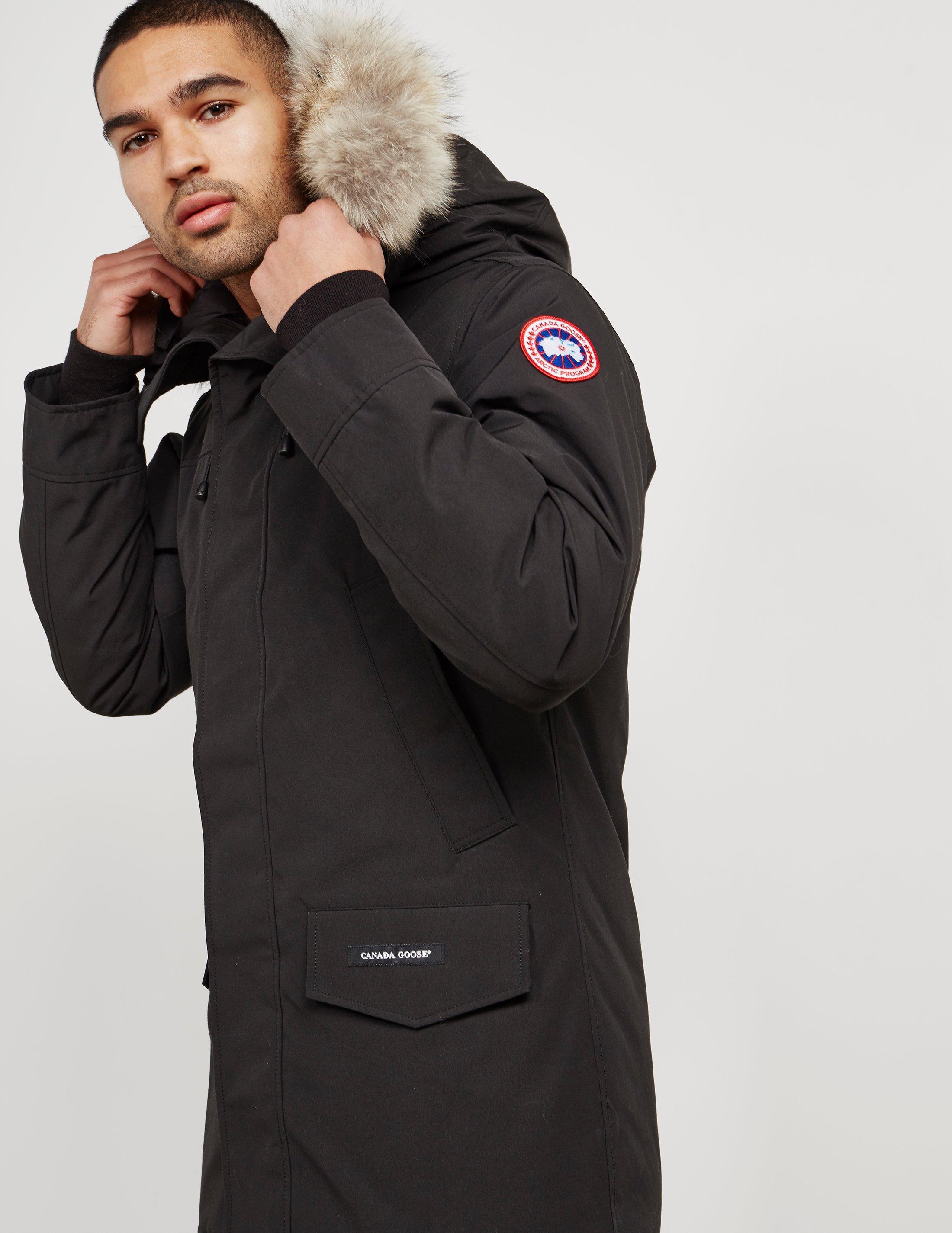 canada goose gilt canada goose gilt