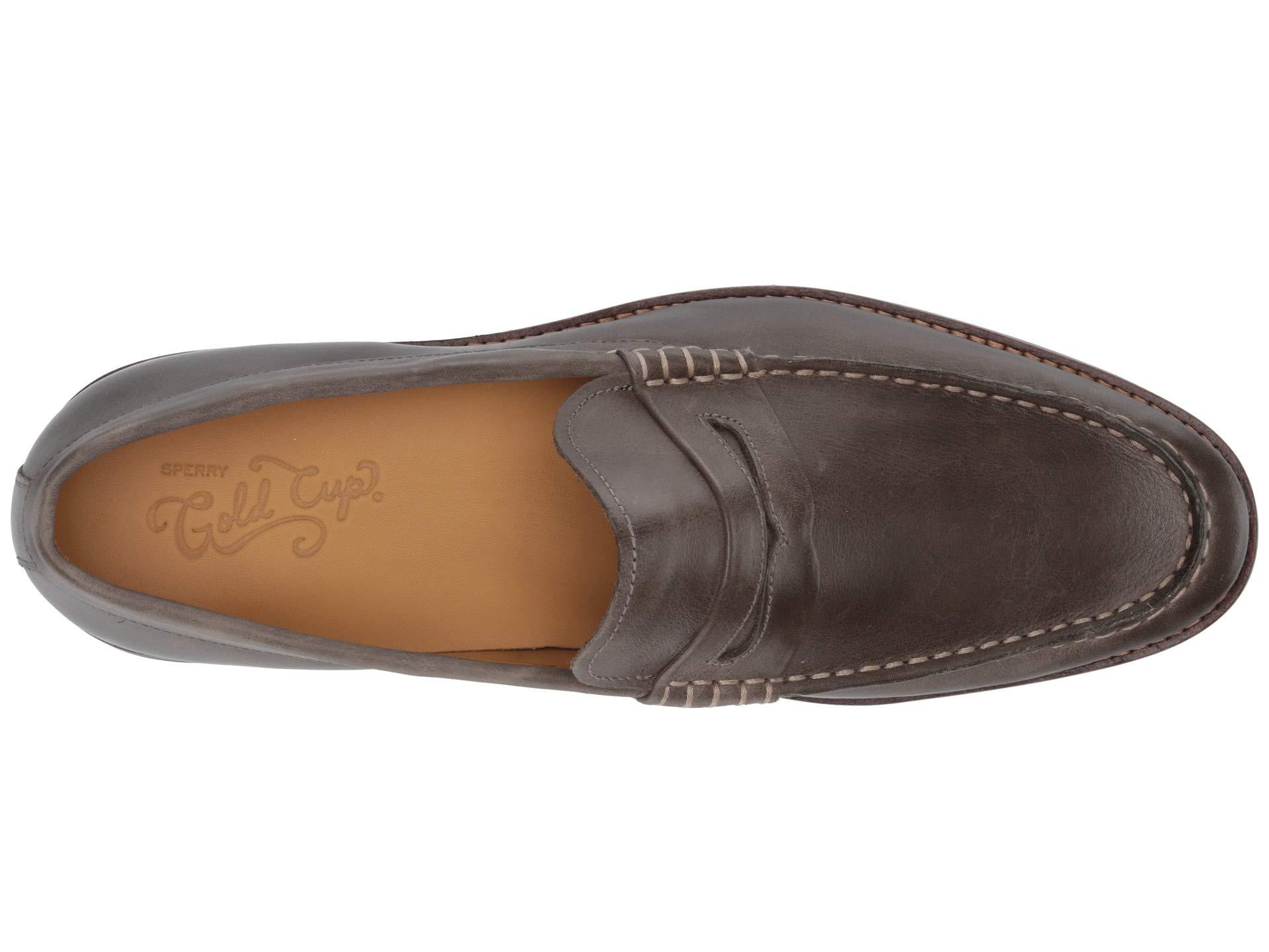 sperry exeter